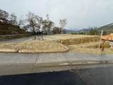 2050 Wyndham Way - Photo 9