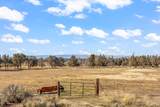 1164 Parrish Lane - Photo 53