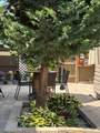 3380 28th Street - Photo 16