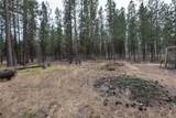 14731 Longleaf Pine - Photo 35
