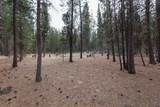 14731 Longleaf Pine - Photo 36