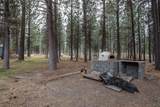 14731 Longleaf Pine - Photo 45