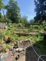 3072 Griffin Creek Road - Photo 51