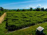 23301 Mckibben Road - Photo 26