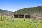 431 Murphy Gulch Road - Photo 28