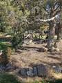 1686 Negus Way - Photo 46