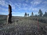 0 Mule Deer Drive - Photo 1