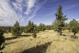 5858 Beretta Way - Photo 6