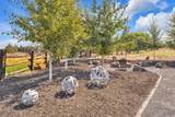 21483 Bunchgrass Court - Photo 51