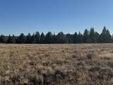 0 Rim Drive - Photo 5