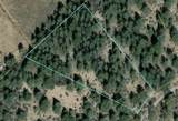 0 Shasta - Photo 7