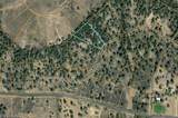 0 Shasta - Photo 8