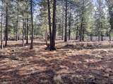 57048 Deer Lane - Photo 15
