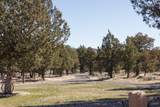 10393 Juniper Canyon - Photo 12