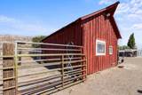 10403 Matney Way - Photo 15