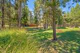 16844 Brenda Drive - Photo 43