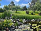 27847 Pine Creek Road - Photo 41