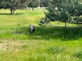 27847 Pine Creek Road - Photo 43
