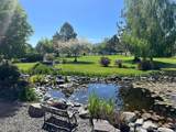 27847 Pine Creek Road - Photo 52