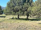 27847 Pine Creek Road - Photo 62