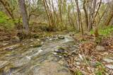 13645 Evans Creek Road - Photo 19