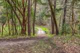 13645 Evans Creek Road - Photo 20