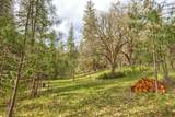 13645 Evans Creek Road - Photo 21