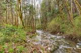 13645 Evans Creek Road - Photo 27