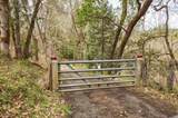 13645 Evans Creek Road - Photo 33