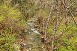13645 Evans Creek Road - Photo 35