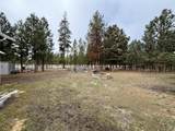 52495 Lost Ponderosa Road - Photo 30