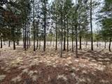 52495 Lost Ponderosa Road - Photo 32