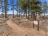62475 Woodsman Loop - Photo 44