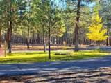 14741 Sugar Pine Way - Photo 47