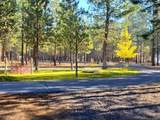 14741 Sugar Pine Way - Photo 48