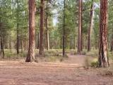 14741 Sugar Pine Way - Photo 51
