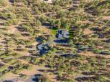 16514 Wren Lane - Photo 43