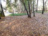 406 Lister Street - Photo 3