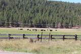 12046 Old Fort Road - Photo 17