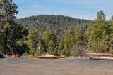 1069 Water Birch Court - Photo 3