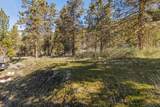 1069 Water Birch Court - Photo 5
