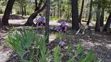 13007 Perry Road - Photo 25
