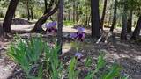  Perry Road - Photo 25