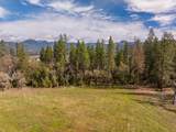  Messinger Road - Photo 5