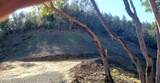  Messinger Road - Photo 3