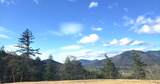  Messinger Road - Photo 10