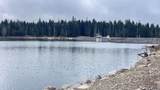4836 Hyatt Prairie Road - Photo 40