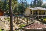 790 Savage Creek Road - Photo 35