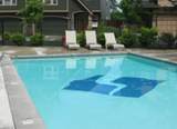 61059 Snowberry Place - Photo 54