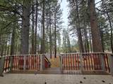 56548 Buckmaster Street - Photo 6